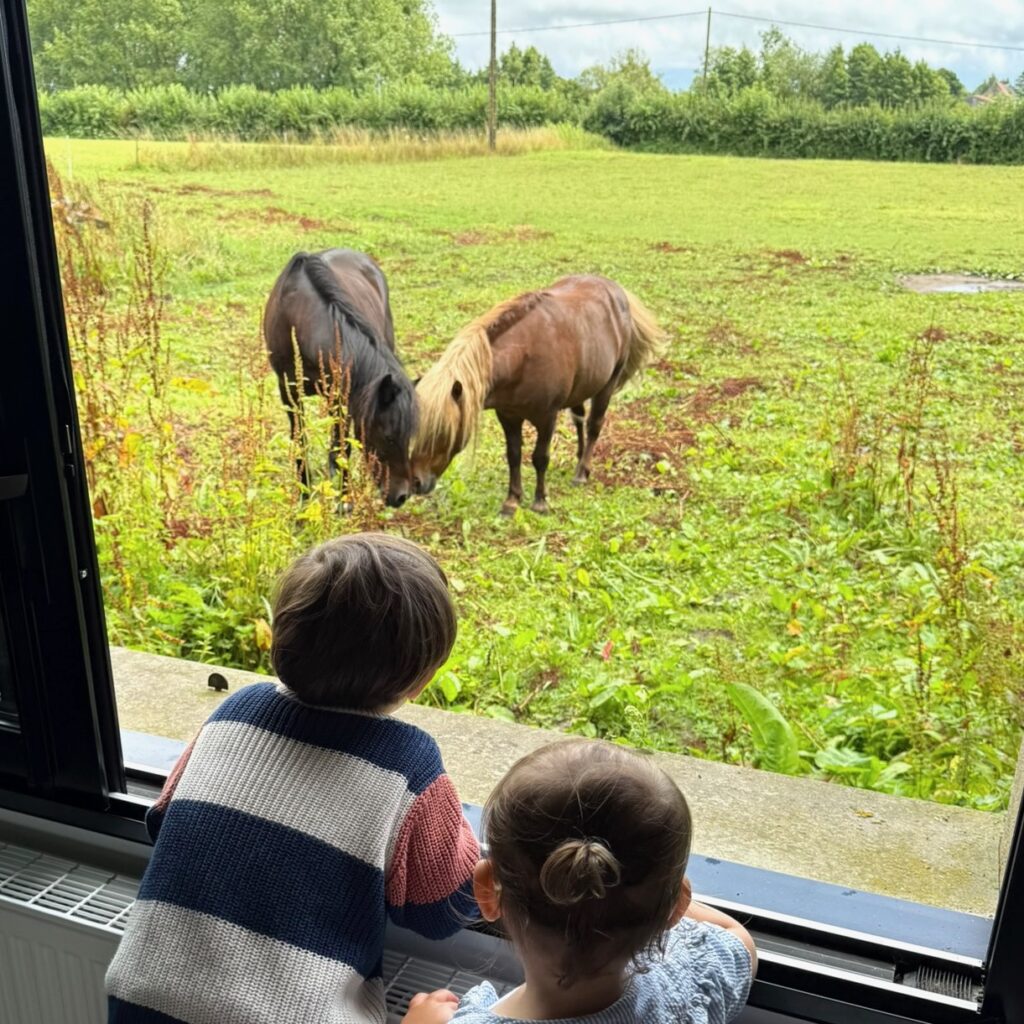 Observer les animaux depuis le gîte